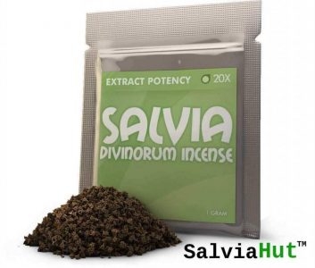 Salvia Hut